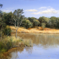 Wetlands